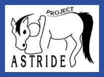 Project Astride